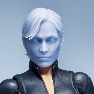 1/12 特注ヘッド セレブリティスカルプト キャリー・アン - トリン