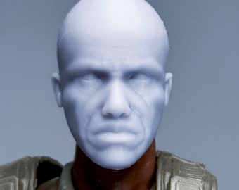 1/12 Bespoke Sculpted Head Mac Frank Dukes