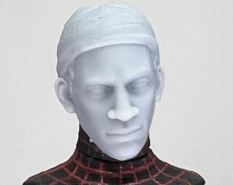 1/12 Bespoke Sculpted Head Ultimate multiverse Spider Hero