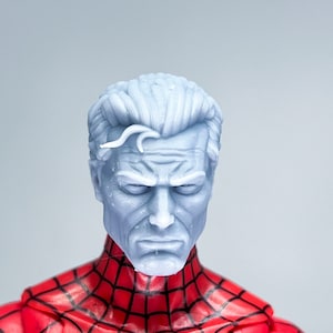 1/12 Bespoke Sculpted Head Unmasked Old Spider Hero