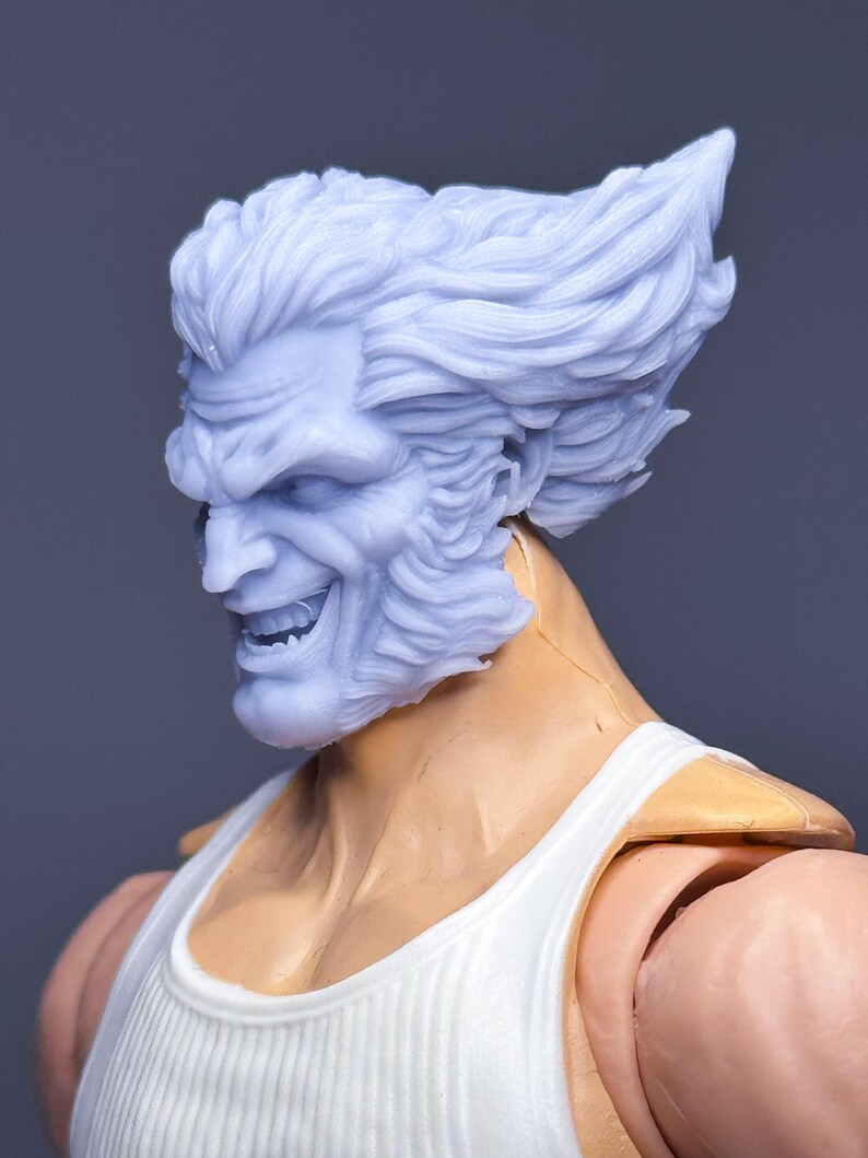 1/12 Bespoke Sculpted Head Mutant Canadian Hero Comic Smile - Etsy