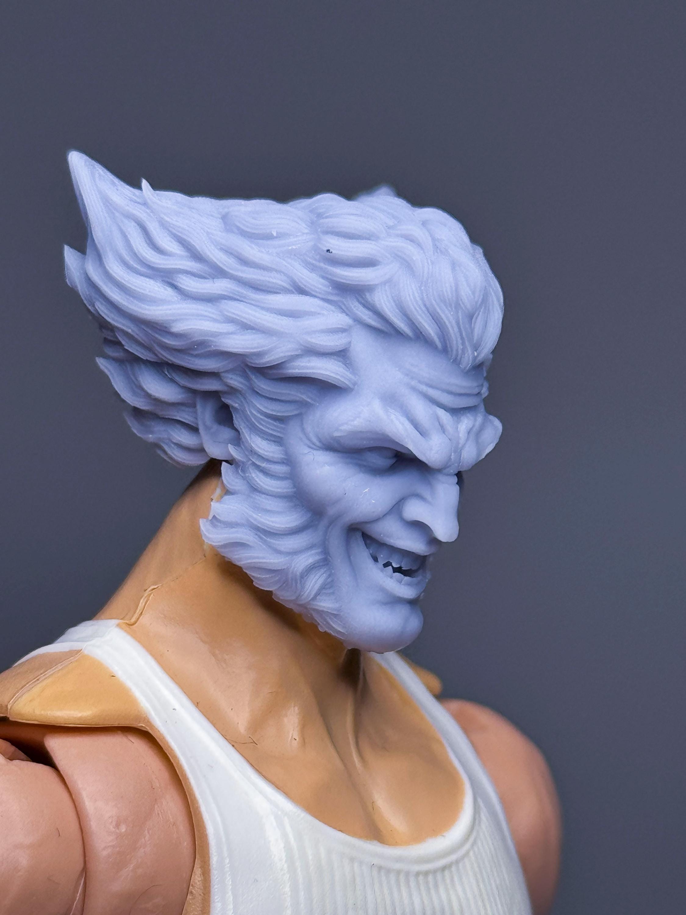 1/12 Bespoke Sculpted Head Mutant Canadian Hero Comic Smile - Etsy