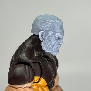 1/12 3D Printed Head Sculpt Old Man Mutant Canadian Hero - Etsy