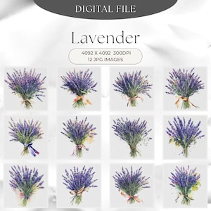 Watercolor Lavender Flower Clipart , Purple Flowers, Lavender Border, Lavender Filed, 12 JPG Digital Download