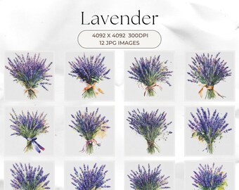 Watercolor Lavender Flower Clipart , Purple Flowers, Lavender Border, Lavender Filed, 12 JPG Digital Download