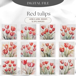 Rode tulpen clipart 12 hoge kwaliteit JPG's, Tulip clip art digitale downloads, kaart maken, digitale papier ambachtelijke, bloemen clipart,