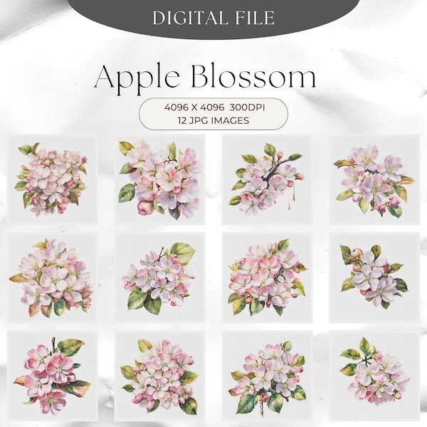 Apple Blossom Clipart - 12 Quality JPG, Digital Download, Card Making, Clipart, Digital Paper Craft, Junk Journal