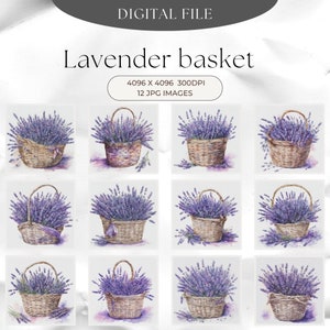 Cesta de lavanda Clipart 12 JPG de calidad - Diarios basura, Planificadores digitales, Fabricación de tarjetas, Técnica mixta, Descarga instantánea, Decoupage