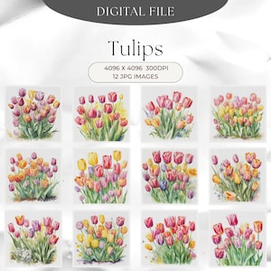Tulips Clipart  12 High Quality JPGs, Tulip Clip Art Digital Downloads, Card Making, Digital Paper Craft, Spring floral clipart,