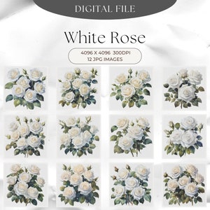 Clipart de rosa blanca, 12 archivos JPG de calidad: revistas basura, agendas digitales, tarjetas de felicitación, técnicas mixtas, manualidades digitales, descarga instantánea, decoupage