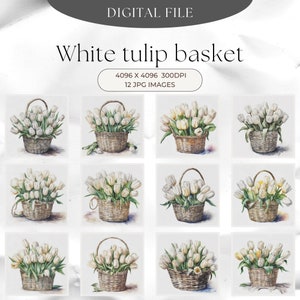 12 weiße Tulpen Korb Clipart, JPG Qualität, Junk Journaling, Digitaler Planer, Wand Kunst, Digitale Papier Handwerk, Aquarell,