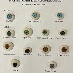 Könnte beinhalten: Tabelle mit Farben für künstliche menschliche Augenprothesen. Die Farben umfassen Blau, Grün, Braun, Schwarz und Grau. Die Tabelle trägt den Titel "SciMed Eye Shade Chart".