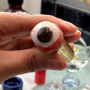 Prosthesis Ocular Künstliches Auge Prosthetic Eye Natürliches Acryl 18MM-28MM BROWN SHADE Menschliche Augen, Kuriositäten Kuriositäten