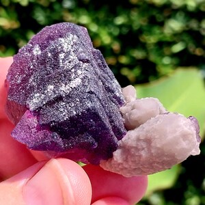 May include: A purple fluorite crystal cluster with a white quartz crystal attached. The fluorite has a deep purple color and is translucent. The quartz crystal is clear and has a smooth surface.