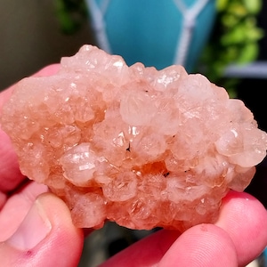Druzy UV Reactive Pink Rose Skeletal Calcite Flower from Madagascar! Pink Calcite. Pink Calcite Specimen. UV Reactive Pink Calcite.