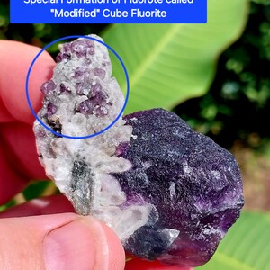 May include: A purple and white fluorite crystal with a special formation called "Modified" Cube Fluorite. The crystal has a cluster of smaller purple crystals on top.