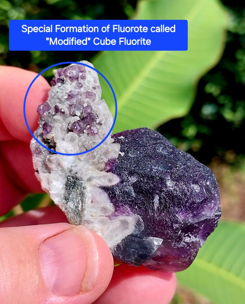 May include: A purple and white fluorite crystal with a special formation called "Modified" Cube Fluorite. The crystal has a cluster of smaller purple crystals on top.