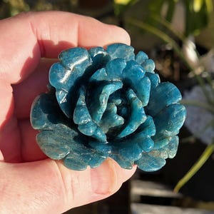 May include: A carved, teal-colored gemstone in the shape of a rose. The stone has a polished, glossy finish and intricate details, with visible veining. The flower is held in a hand, with a blurred background of greenery.