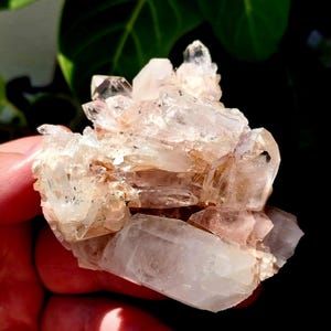 Blush Pink Lithium Quartz Cluster! Lithium Quartz. Quartz Cluster. Pink Quartz. Quartz Specimen. Lithium Quartz Specimen. Pink Lithium.