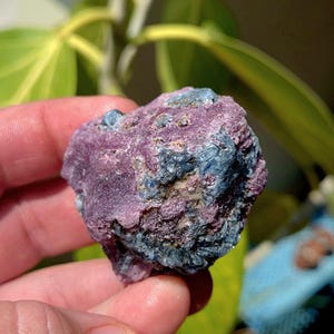 May include: A close-up of a rough, natural stone with a mix of colors. The stone has a deep pinkish-purple base color, with patches of dark blue and gray. The texture appears to be uneven and crystalline.