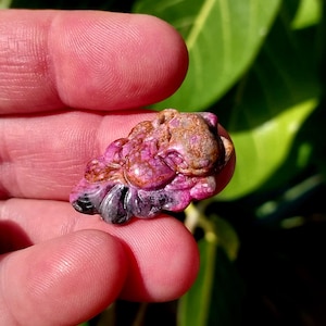 May include: A carved pink and brown stone pendant in the shape of a mythical creature. The pendant is held in a hand.