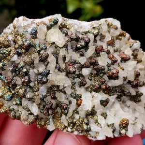 RARE Rainbow Chalcopyrite on Dogtooth Calcite Specimen! Chalcopyrite Calcite Specimen. Pyrite Specimen. Rainbow Pyrite. Dogtooth Calcite.