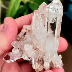 Brazilian Pink Lithium Quartz! Lithium Quartz. Quartz Cluster. Pink Quartz. Quartz Specimen. Lithium Quartz Specimen. Pink Lithium.