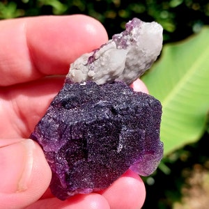 May include: A purple fluorite crystal with a white quartz cluster on top. The crystal is rough and has a natural, earthy look.