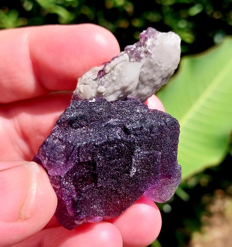 May include: A purple fluorite crystal with a white quartz cluster on top. The crystal is rough and has a natural, earthy look.
