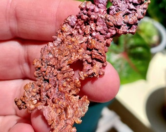 Natural Pink Copper Specimen! Copper Specimen. Copper Mineral Specimen. Crystal Specimen. Mineral Ore. Mineral Copper. Native Copper.