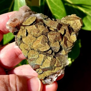 Flashy Rainbow Chalcopyrite on Red Pagoda Calcite Specimen! Chalcopyrite Calcite Specimen. Pyrite Specimen. Pagoda Calcite. Red Calcite.