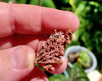 Pink Natural Copper Specimen! Copper Specimen. Copper Mineral Specimen. Crystal Specimen. Mineral Ore. Mineral Copper. Native Copper.