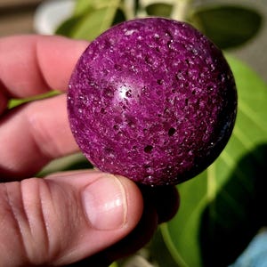May include: A deep purple, spherical stone with a textured surface. The stone is held in a hand, with a blurred background of green leaves. The stone's color is a rich, saturated hue, and the surface has small, irregular holes.