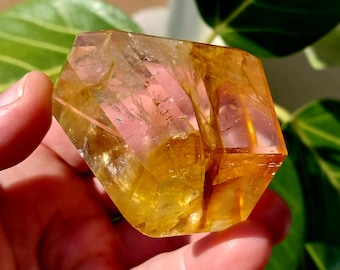Amazing Quality Golden Healer Freeform!! Golden Healer. Golden Healer Crystal. Crystal Freeform. Yellow Crystal Freeform. Healer Freeform.