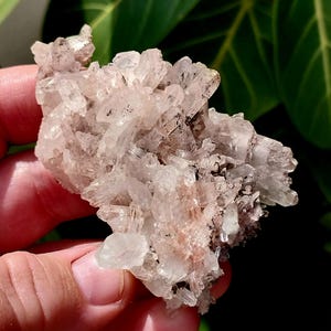 Gorgeous Pink Lithium Quartz Cluster! Lithium Quartz. Quartz Cluster. Pink Quartz. Quartz Specimen. Lithium Quartz Specimen. Pink Lithium.