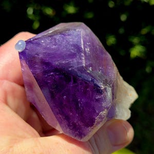 Natural Amethyst Root from the Congo! Amethyst Freeform. Amethyst Root. Purple Amethyst. Crystal Root. Rainbow Amethyst Freeform.