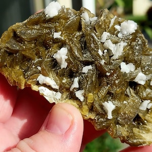 May include: A close-up of a mineral specimen featuring olive-green, layered crystals with white, crystalline clusters. The mineral has a rough, textured surface and is held in a hand. The background is blurred.