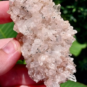 Blush Beautiful Pink Lithium Quartz! Lithium Quartz. Quartz Cluster. Pink Quartz. Quartz Specimen. Lithium Quartz Specimen. Pink Lithium.