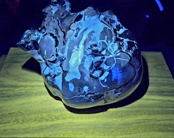 Highly UV Reactive Volcano Agate Human Heart! Agate Heart. Volcano Agate Heart. Crystal Heart. UV Reactive Crystal. Banded Agate Heart.