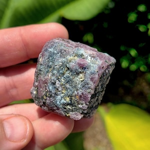 May include: A rough-cut, natural ruby gemstone. The stone displays a mix of deep red, gray, and black hues, with a slightly textured surface. The ruby is held in a hand against a backdrop of green foliage.