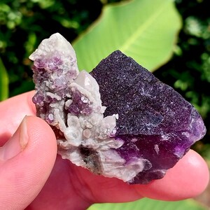 May include: A purple and white fluorite crystal cluster with a rough, natural texture. The crystal is a combination of purple fluorite and white quartz.