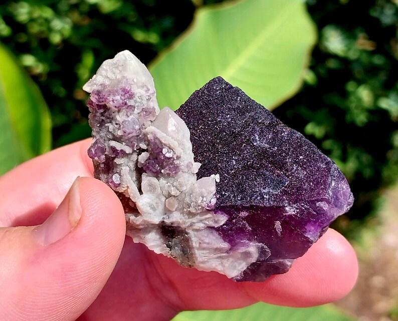 May include: A purple and white fluorite crystal cluster with a rough, natural texture. The crystal is a combination of purple fluorite and white quartz.