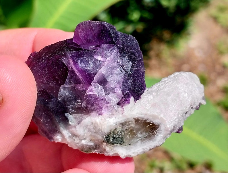 May include: A cluster of purple fluorite crystals with a white calcite crystal. The fluorite crystals are translucent and have a glassy luster. The calcite crystal is opaque and has a dull luster.