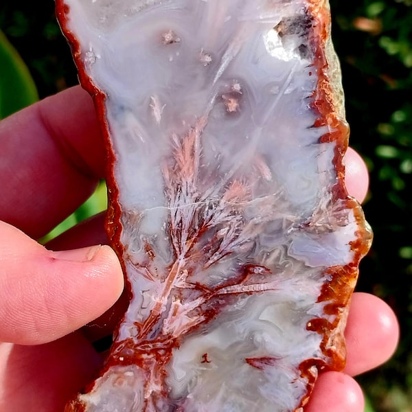 Rare Stunning Pink And Purple Agate Polished Slab. Pink Agate Slab. Pink Agate. Pink Chalcedony. Unique Pink Agate. Agate Slab. Crystal Slab