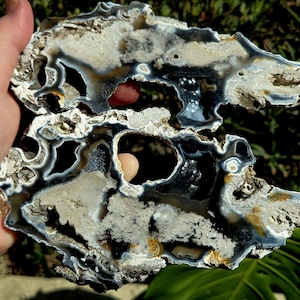 May include: Two irregularly shaped, polished stone slabs with a natural, porous structure. The stone features a mix of colors, including white, black, and tan, with a glossy, reflective surface. The slabs are held in a hand, showcasing their unique patterns.