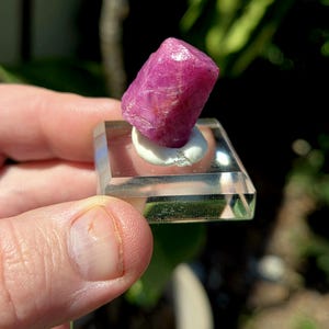 May include: A vibrant, raw ruby gemstone, displaying a deep pink hue, is mounted on a clear, square acrylic base. The ruby is held in place with a small amount of white adhesive. The background is blurred, highlighting the gemstone.