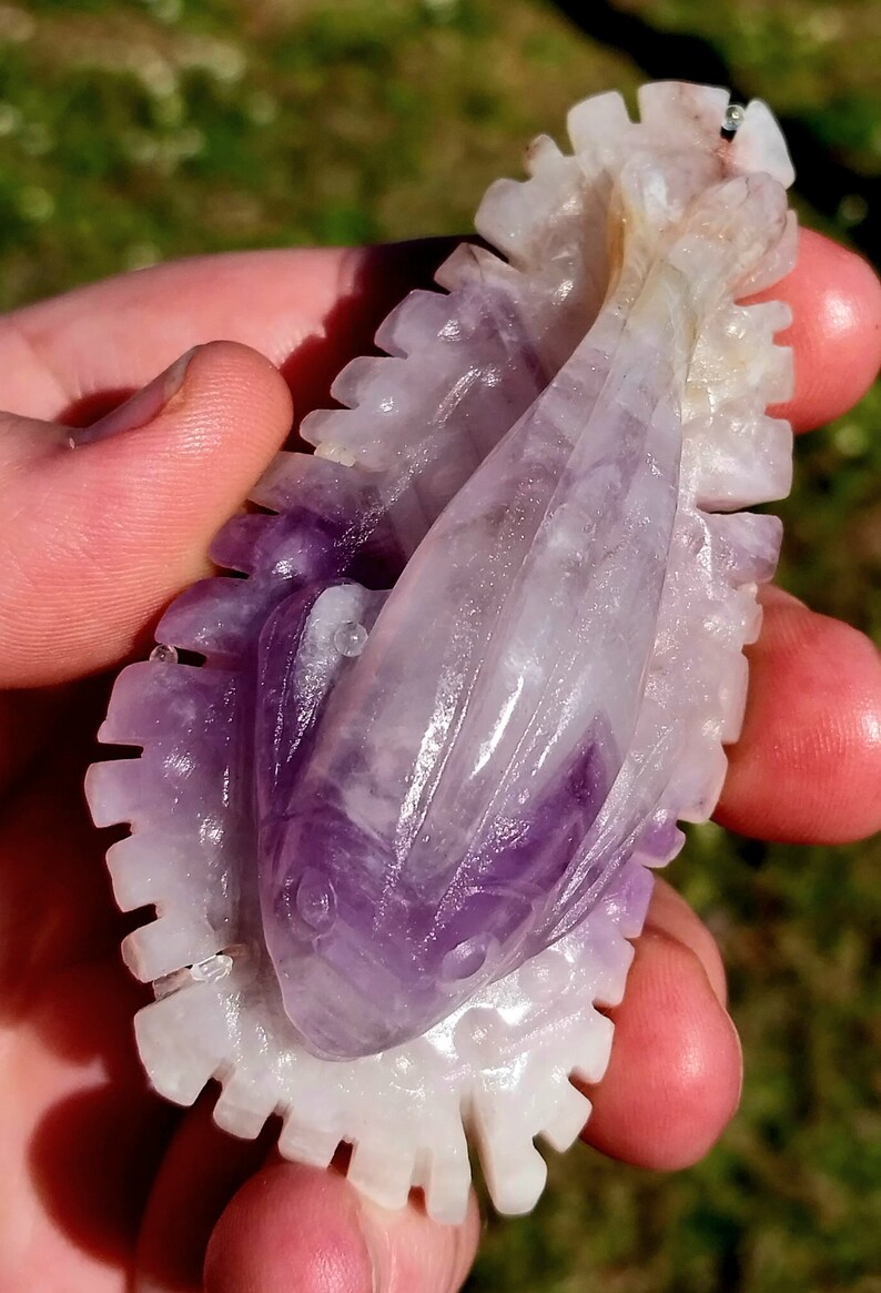 Amazing and Unique Purple Amythest Fish on Coral! Purple Amethyst Fish ...
