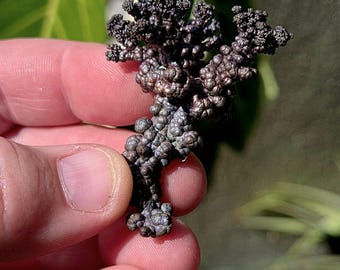 Rare Purple Copper Specimen! Copper Specimen. Copper Mineral Specimen. Crystal Specimen. Mineral Ore. Mineral Copper. Native Copper.