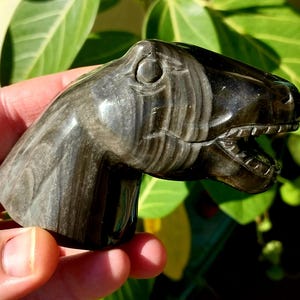 Silver Sheen Obsidian T-Rex Head Carving! Tyrannosaurus Rex Crystal. Crystal T Rex. Obsidian Dinosaur. Crystal Dinosaur Head. Silver Flash.
