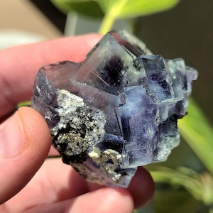 Amazing Quality Phantom Blue and Purple Cubic Fluorite with Pyrite from Yaoganxian, Hunan, China. YGX Fluorite. Chinese Fluorite Specimen.